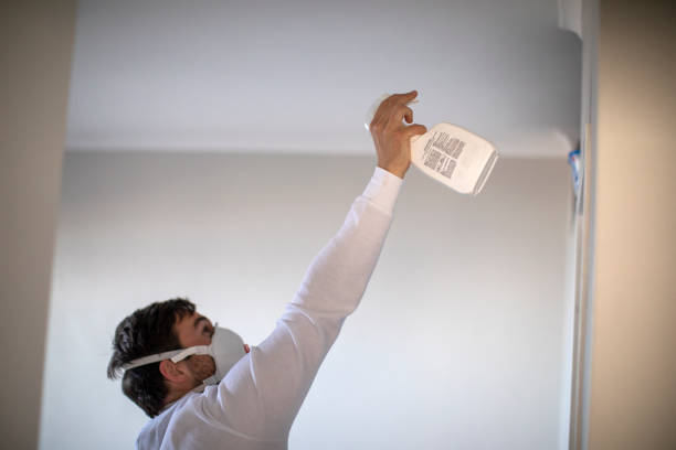 Best Crawl Space Mold Removal  in Upper Sandusky, OH
